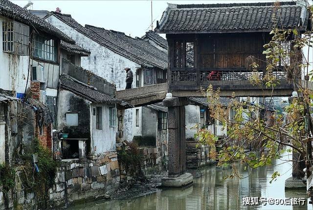 拯救小松鼠